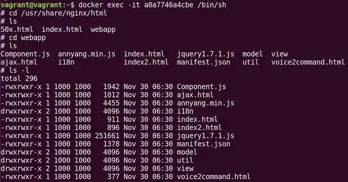 Docker入门系列之一：在一个Docker容器里运行指定的web应用