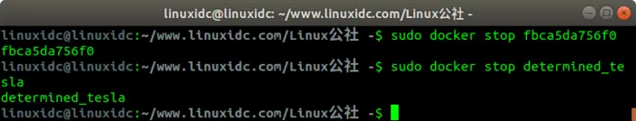 如何在Ubuntu中安装Docker和运行 Docker容器
如何在Ubuntu中安装Docker和运行 Docker容器
关于在wsl上安装Docker方法整理
在WSL中安装和运行Docker CE
Windows 10 的Linux子系统WSL下安装docker
docker 设置国内镜像源
Docker查看远端仓库的标签工具