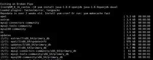 在腾讯云服务器上安装JDK+Tomcat并启动tomcat