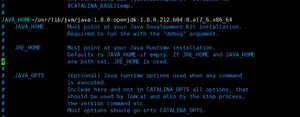 在腾讯云服务器上安装JDK+Tomcat并启动tomcat