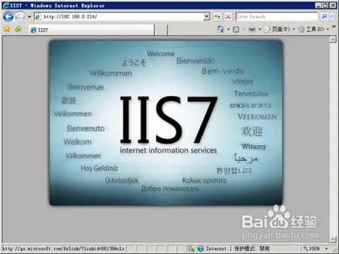 在Windows Server 2008中安装IIS