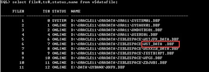 Oracle datafile特殊字符处理