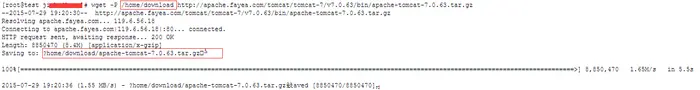每天一个linux命令（61）：wget命令-jia1