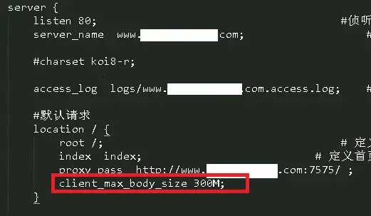 nginx 导致文件上传中途中断 Failed to load resource: net::ERR_CONNECTION_RESET