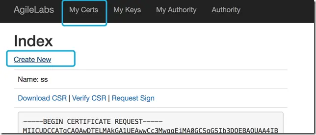 asp.net core 开发的https证书服务-agilelabs.net
创建证书-生成CSR(Certificate Sign Request)：
为我们刚才创建的CSR签名:
小结：
使用技术