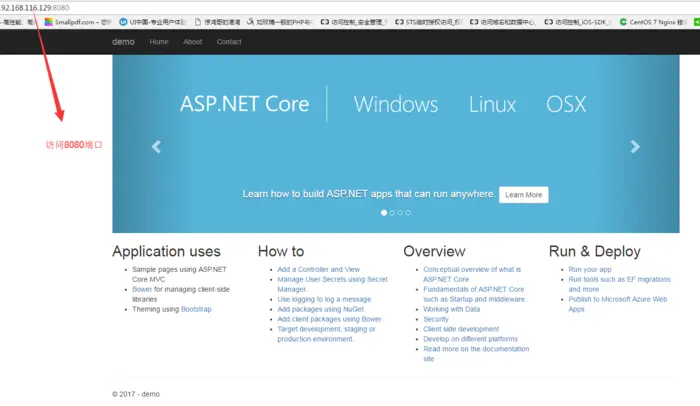 Docker打包 Asp.Net Core应用，在CentOS上运行