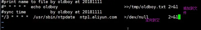 linux之基本命令进阶
