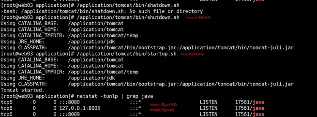 Tomcat部署与使用
Tomcat简介
tomcat软件版本选择
部署java和tomcat
tomcat 管理功能
自定义url规则（nginx location）
搭建Jpress
tomcat启动过慢