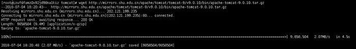 Linux CentOS下安装Tomcat9