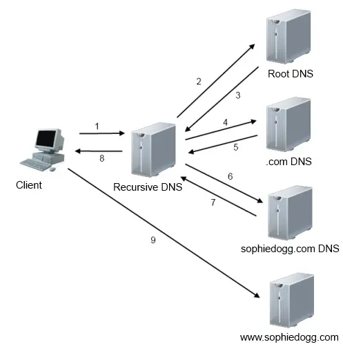 简单谈谈DNS的工作原理及实践
DNS协议简介
DNS工作原理
DNS记录分类
DNS劫持