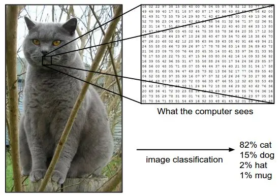 Convolutional Neural Networks for Visual Recognition 1