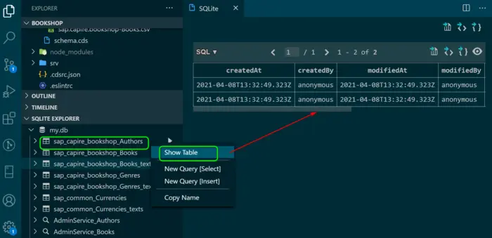 使用 Visual Studio Code SQLite 扩展来浏览 SAP Cloud Application Programming 数据库