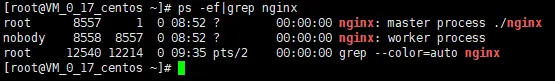 linux安装nginx步骤