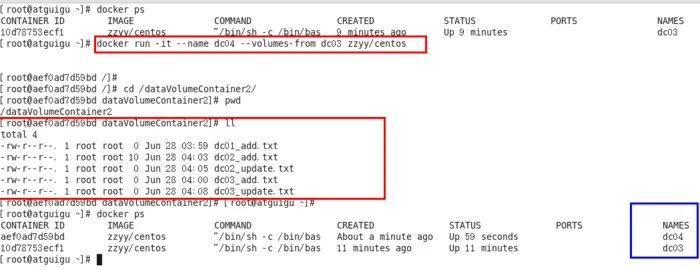 Docker容器数据卷介绍和命令
转自：https://www.cnblogs.com/heian99/p/12056341.html
是什么
能干嘛
数据卷
数据卷容器