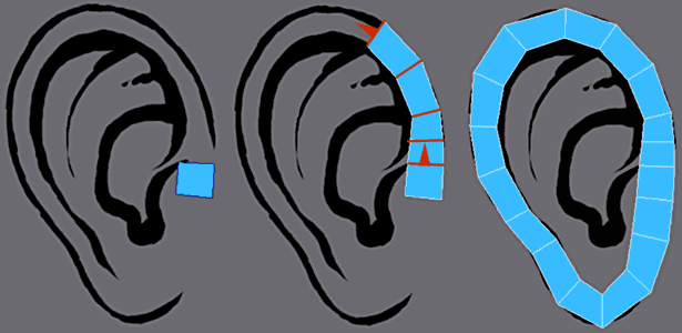 3ds Max建模教程：多边形耳朵