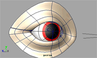 MAYA制作眼球连带眼皮转动的gif动画教程