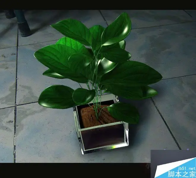 MAYA SSS制作真实的绿色植物材质教程