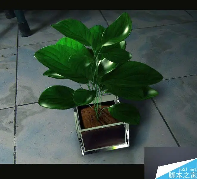 MAYA SSS制作真实的绿色植物材质教程
