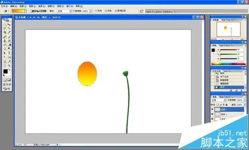 ps怎么做花开的动画?ps画花朵展开gif动图的教程