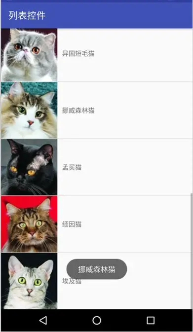 Android UI 中的 ListView列表控件的示例