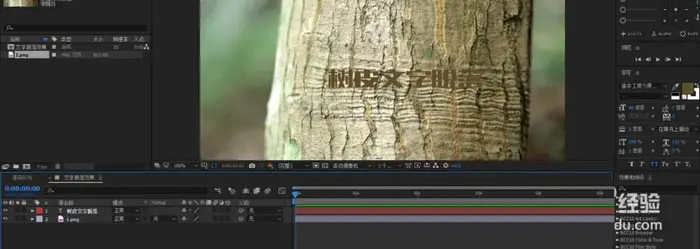 ae怎么制作一段树皮脱落文字显示的动画?