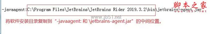 JetBrains Rider 2021.1.0 安装激活方法详解 汉化补丁安装教程 真实有效