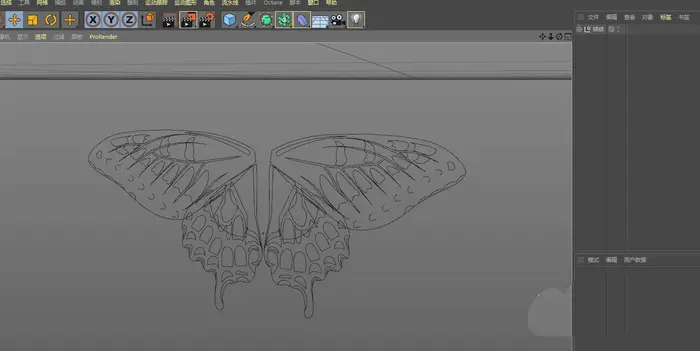C4D怎么建模逼真的蝴蝶模型? c4d三维蝴蝶的创建方法