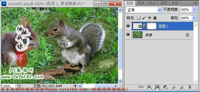 Photoshop合成制作手捧花朵求爱的可爱松鼠教程