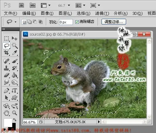 Photoshop合成制作手捧花朵求爱的可爱松鼠教程