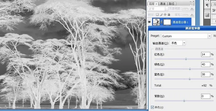 Photoshop利用通道混合器工具抠出复杂的树林教程