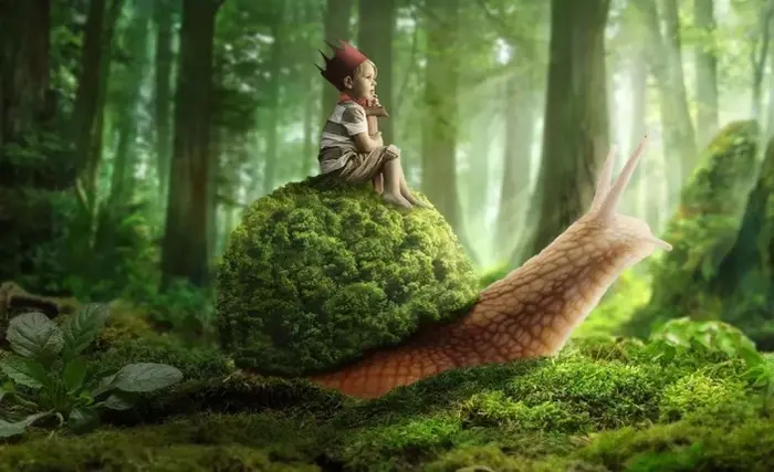 ps创意合成制作梦幻森林里的童年蜗牛骑士详细教程