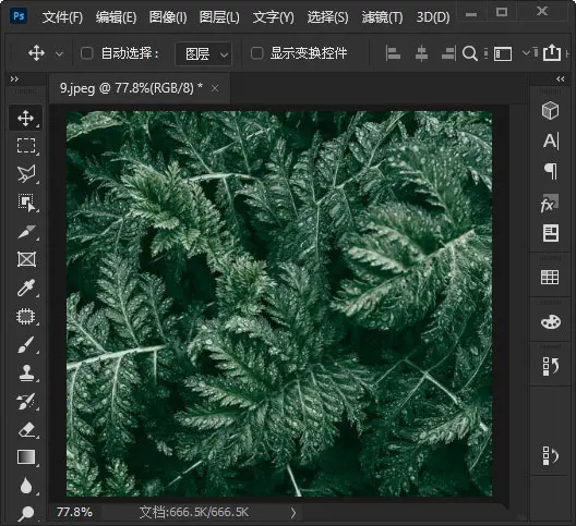 ps绿色的植物图片怎么做成便条纸效果? ps图片调色的技巧