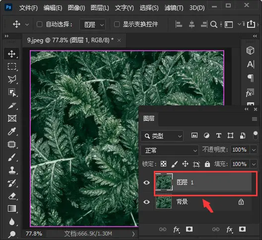 ps绿色的植物图片怎么做成便条纸效果? ps图片调色的技巧