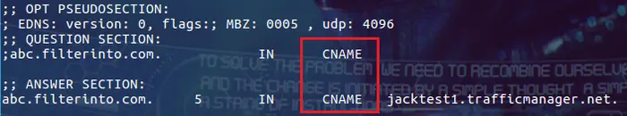 linux dig 命令使用
linux dig 命令使用方法
查询单个域名的 DNS 信息
常见 DNS 记录的类型
查询 CNAME 类型的记录
从指定的 DNS 服务器上查询
反向查询
控制显示结果
查看 TTL(Time to Live)
跟踪整个查询过程
总结