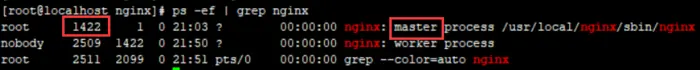 linux 下安装nginx