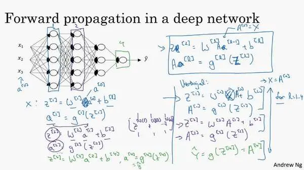 Neural Networks and Deep Learning（week4）深层神经网络（Deep Neural Networks）
1. 深层神经网络（Deep L-layer neural network ）
2. 前向传播和反向传播（Forward and backward propagation）
3. 总结
4. 深层网络中的前向传播（Forward propagation in a Deep Network)
