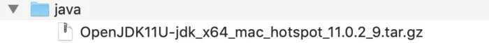 mac 上安装 openJDK11