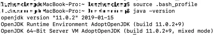 mac 上安装 openJDK11