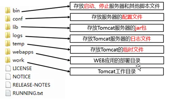 Web基础了解版04-XML-Tomcat-Http-响应码
Tomcat
HTTP