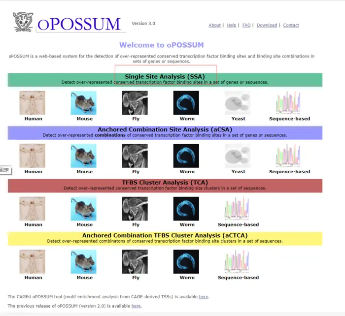 转录因子预测-oPOSSUM 3.0的使用教程
oPOSSUM 3.0的介绍