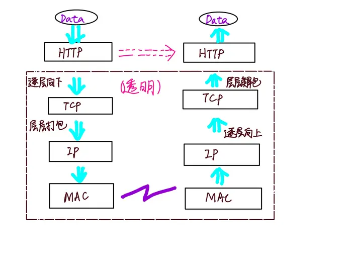 4 HTTP的“四层”和“七层”
1 四层：TCP/IP 网络分层模型
2 七层：OSI网络分层模型
3 TCP／IP 协议栈的工作方式