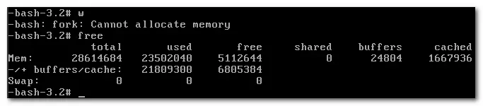Linux -bash: fork: Cannot allocate memory错误处理
