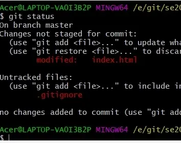 实验一：Git代码版本管理
