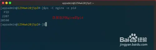 linux如何查看nginx是否启动